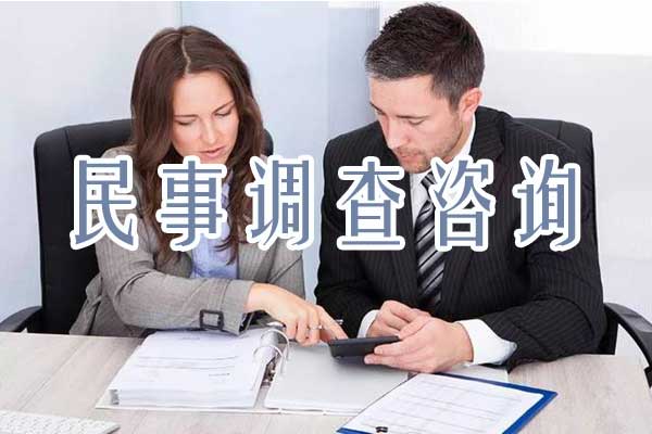 民事调查咨询